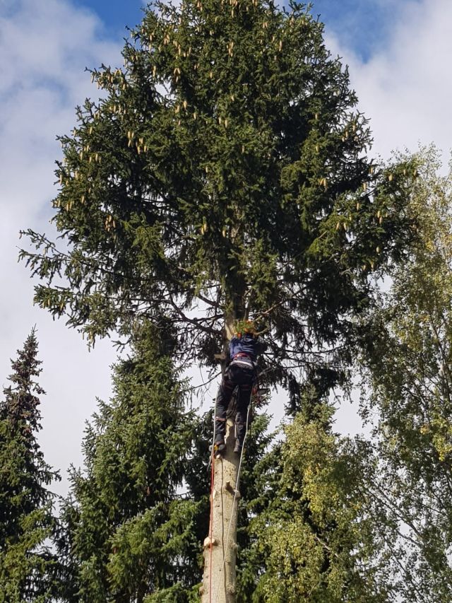 20220929 Werkweek Groen in de Eifel 6
