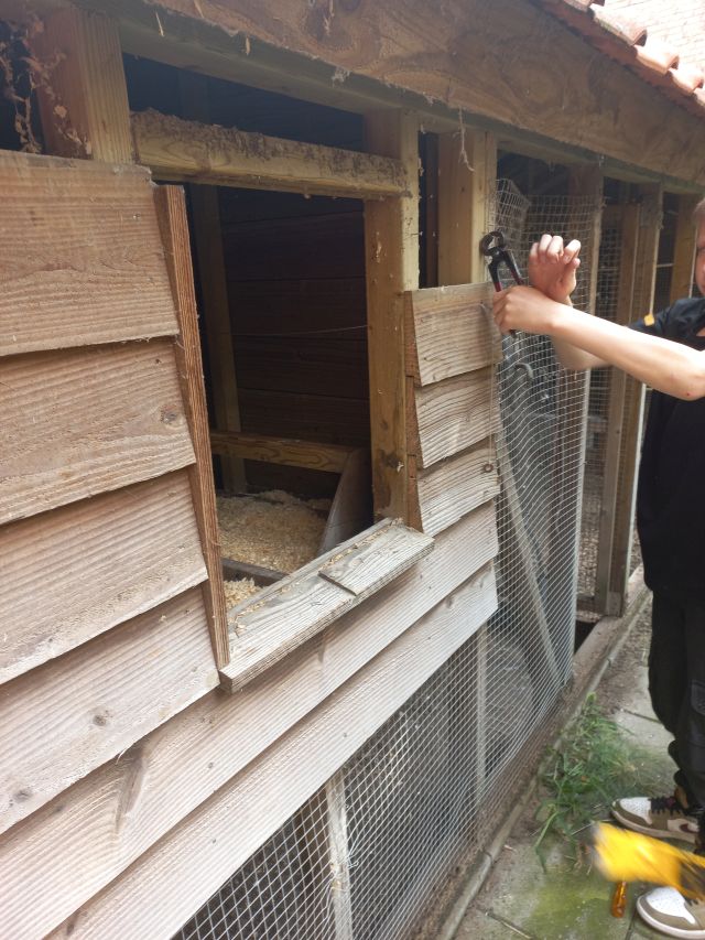 20230912 Werkplaats 5 – slopen kippenhok