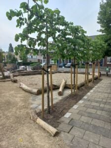 20250521 Voortgang aanleg nieuw schoolplein 12